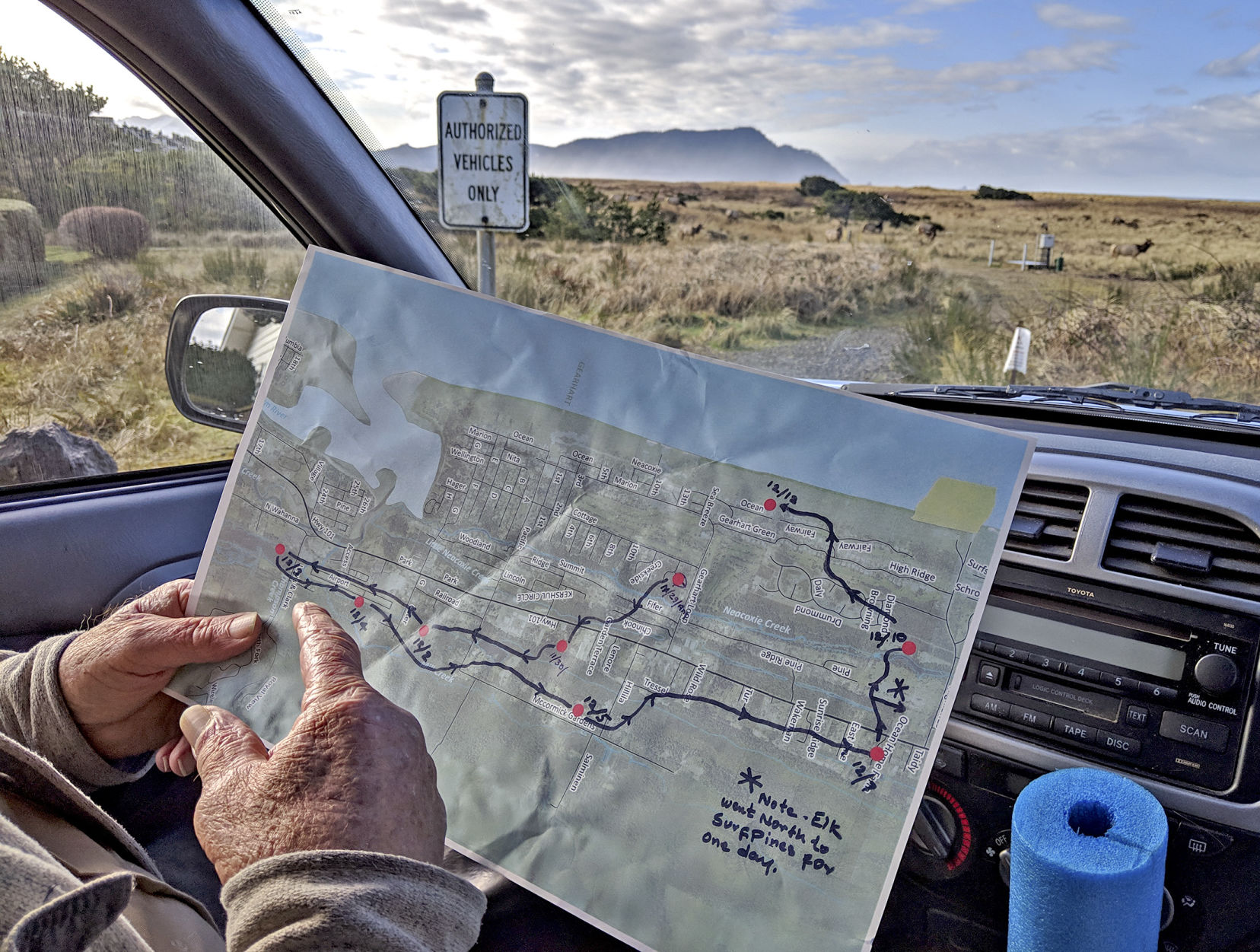 Tracking elk